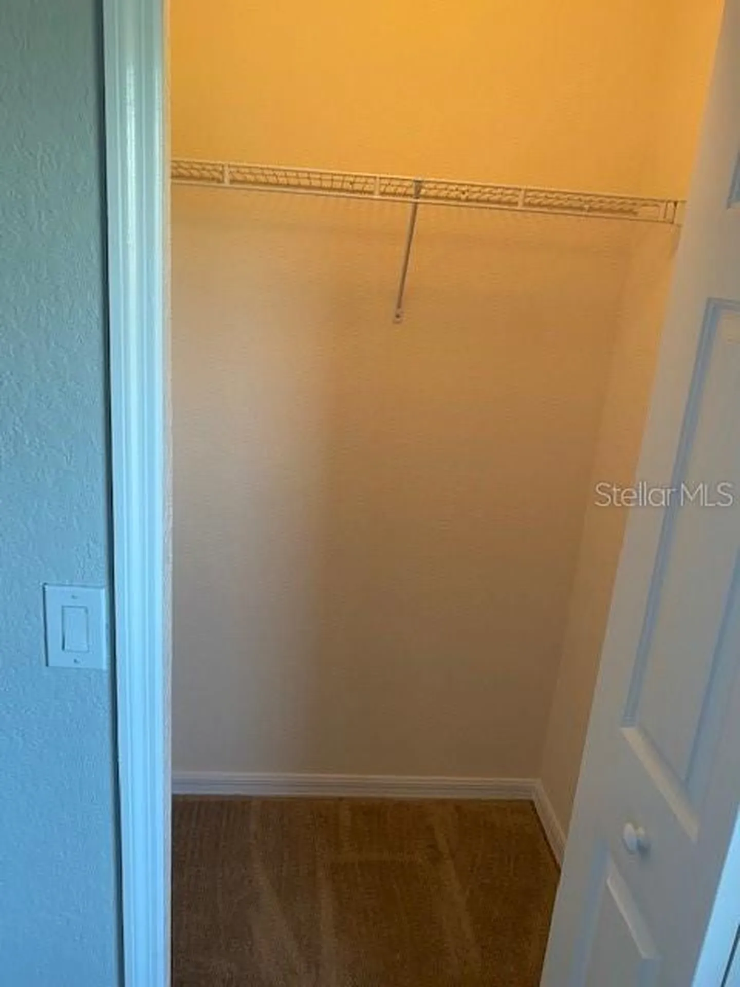 10918 Winter Crest Drive Riverview FL 33569