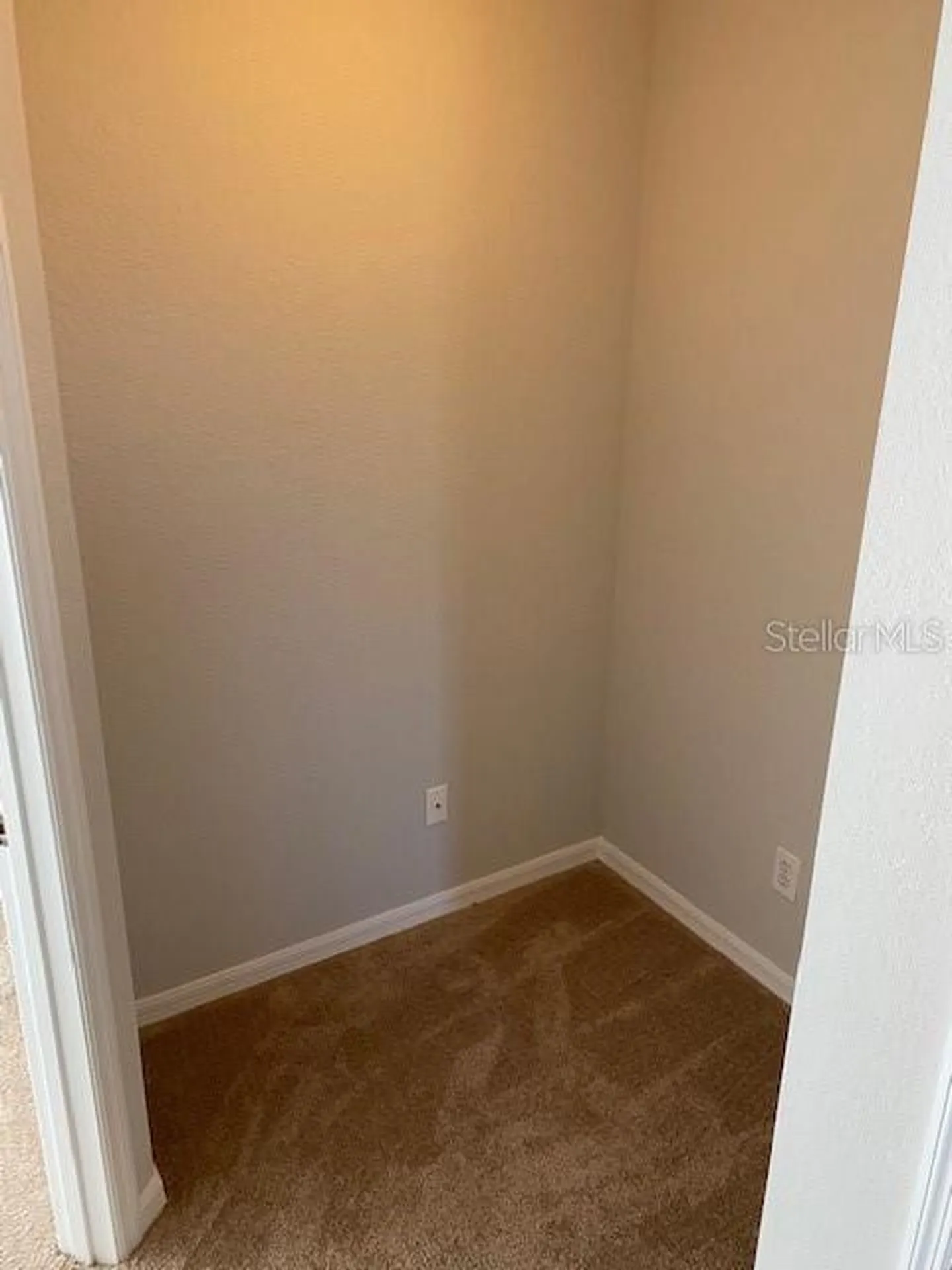 10918 Winter Crest Drive Riverview FL 33569