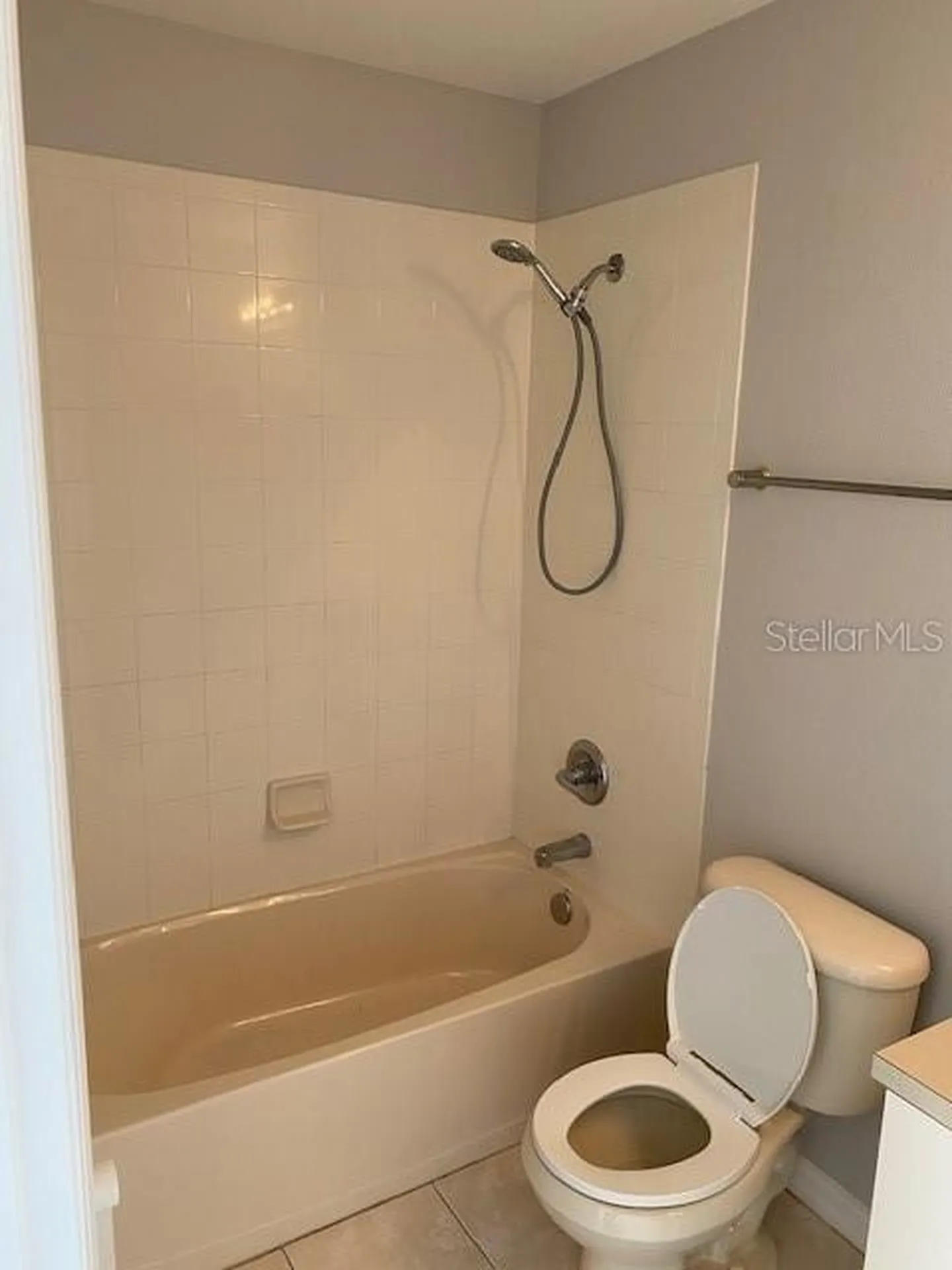10918 Winter Crest Drive Riverview FL 33569