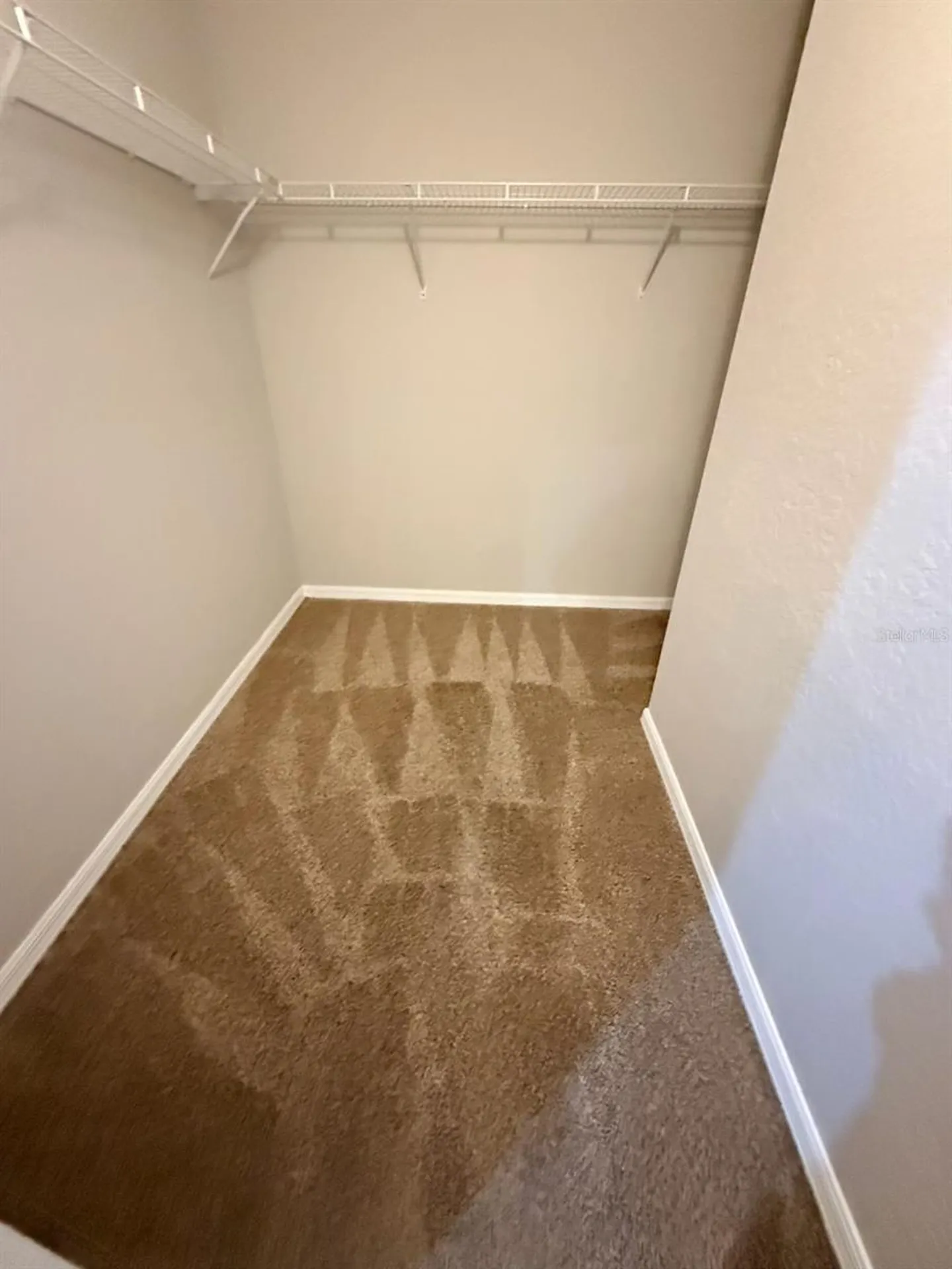 10918 Winter Crest Drive Riverview FL 33569