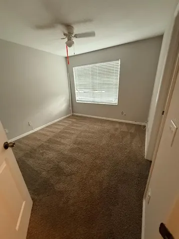10918 Winter Crest Drive Riverview FL 33569
