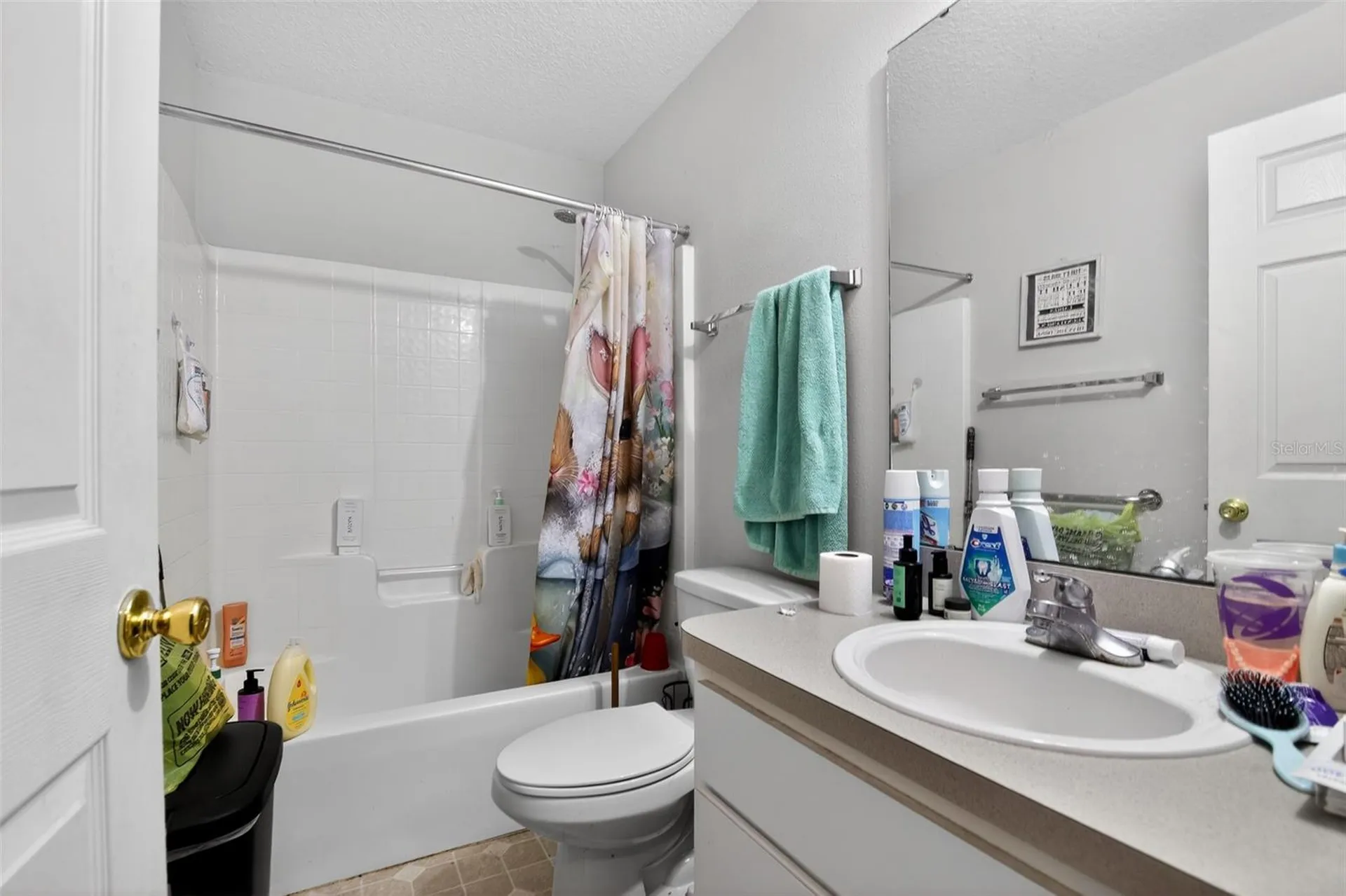 4657 SE 136th Street Summerfield FL 34491