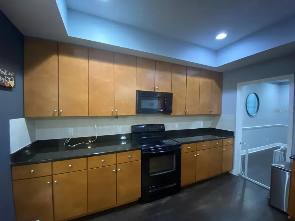 16125 Churchview Drive Lithia FL 33547