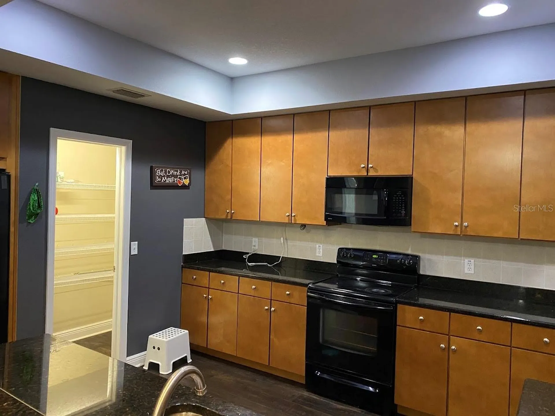 16125 Churchview Drive Lithia FL 33547