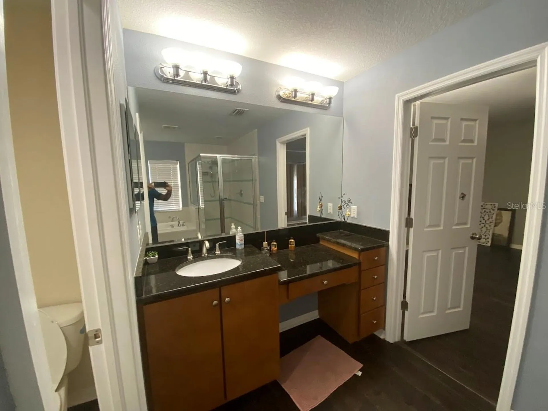 16125 Churchview Drive Lithia FL 33547