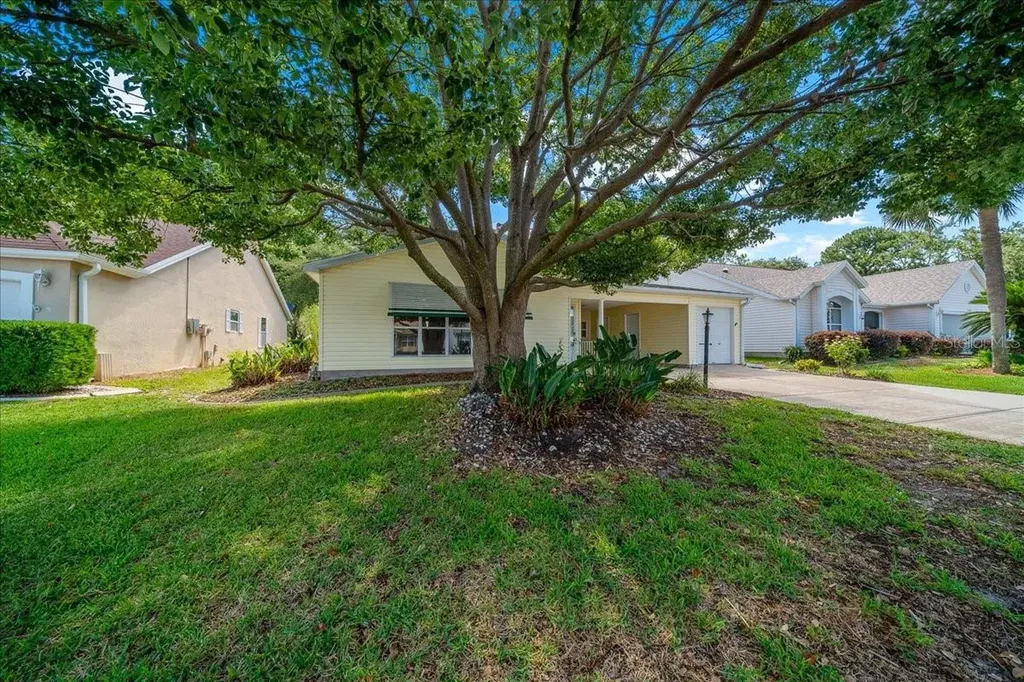 1133 Del Toro Drive Lady Lake FL 32159