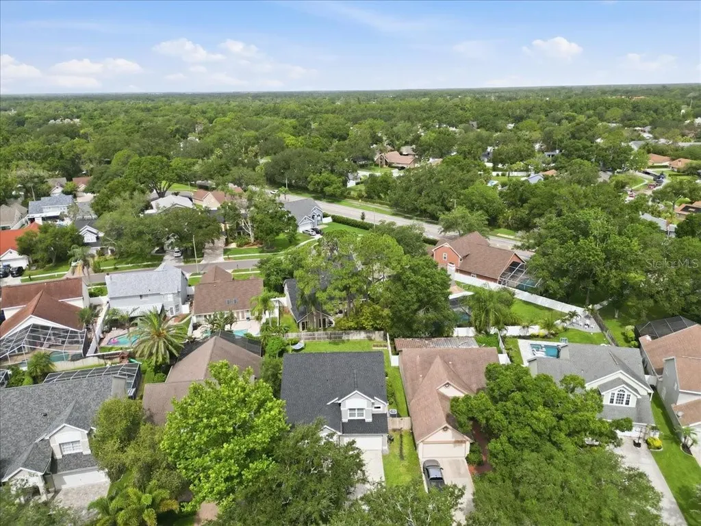 14518 Nettle Creek Road Tampa FL 33624