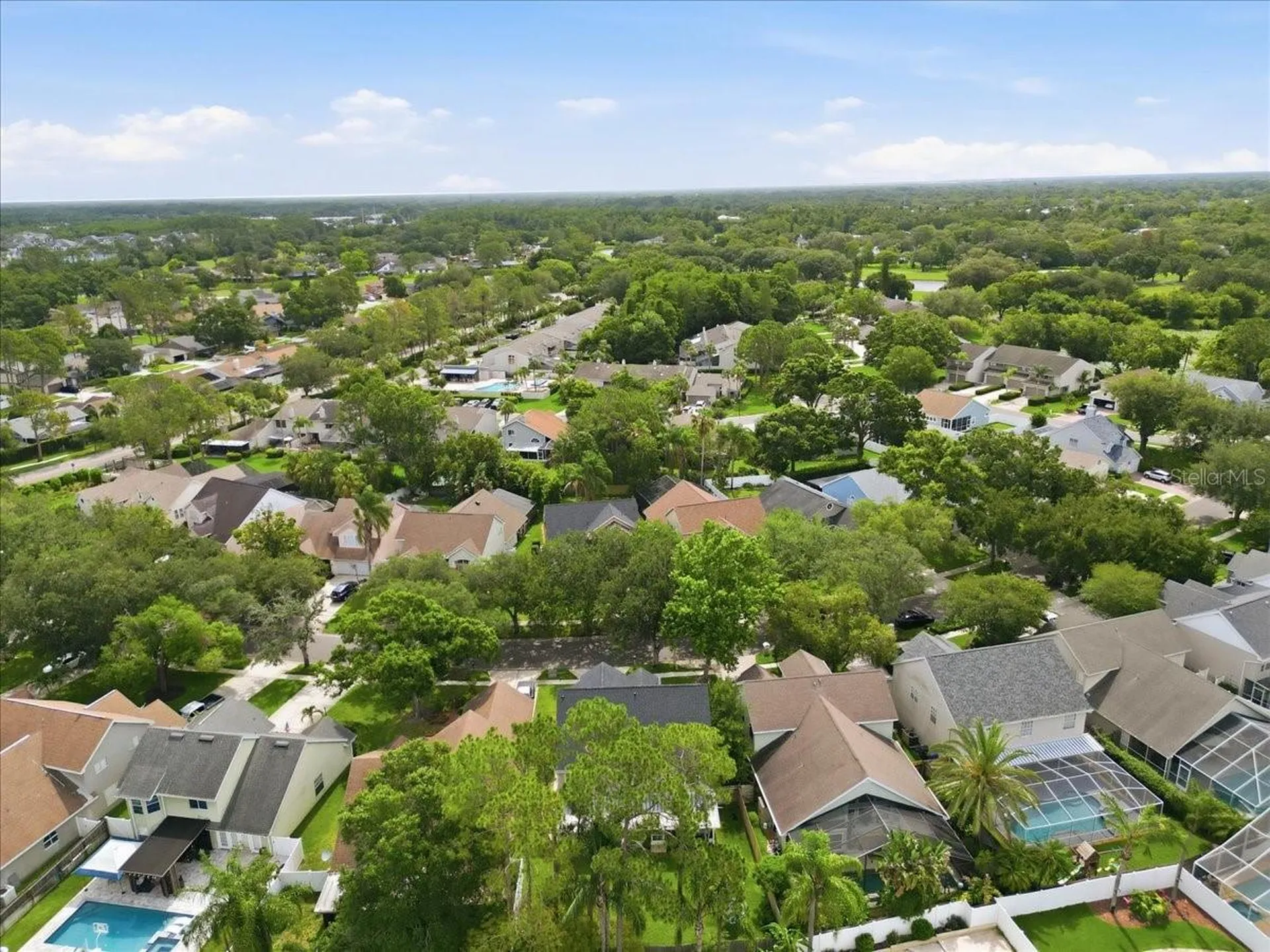 14518 Nettle Creek Road Tampa FL 33624