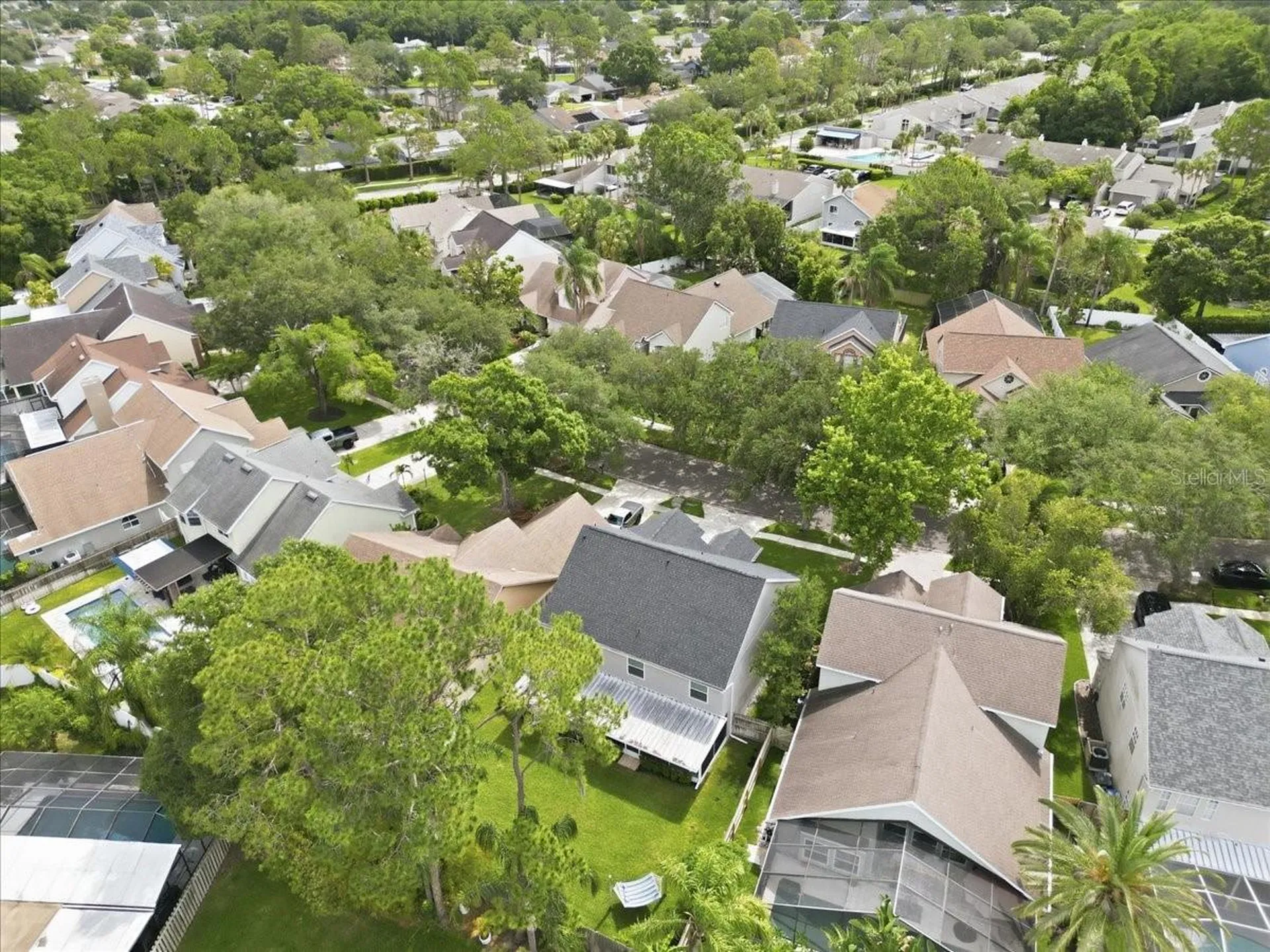 14518 Nettle Creek Road Tampa FL 33624