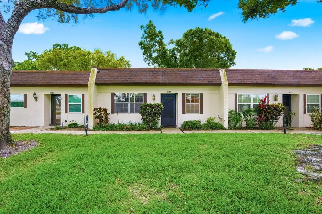 3127 Mission Grove Drive Palm Harbor FL 34684
