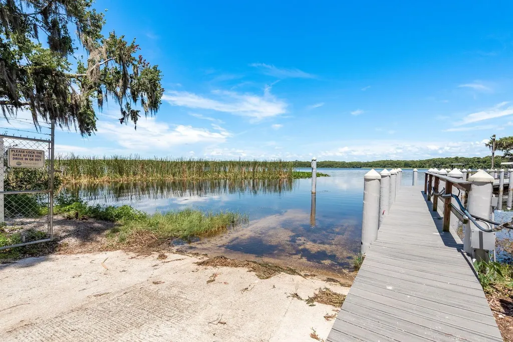 3127 Mission Grove Drive Palm Harbor FL 34684