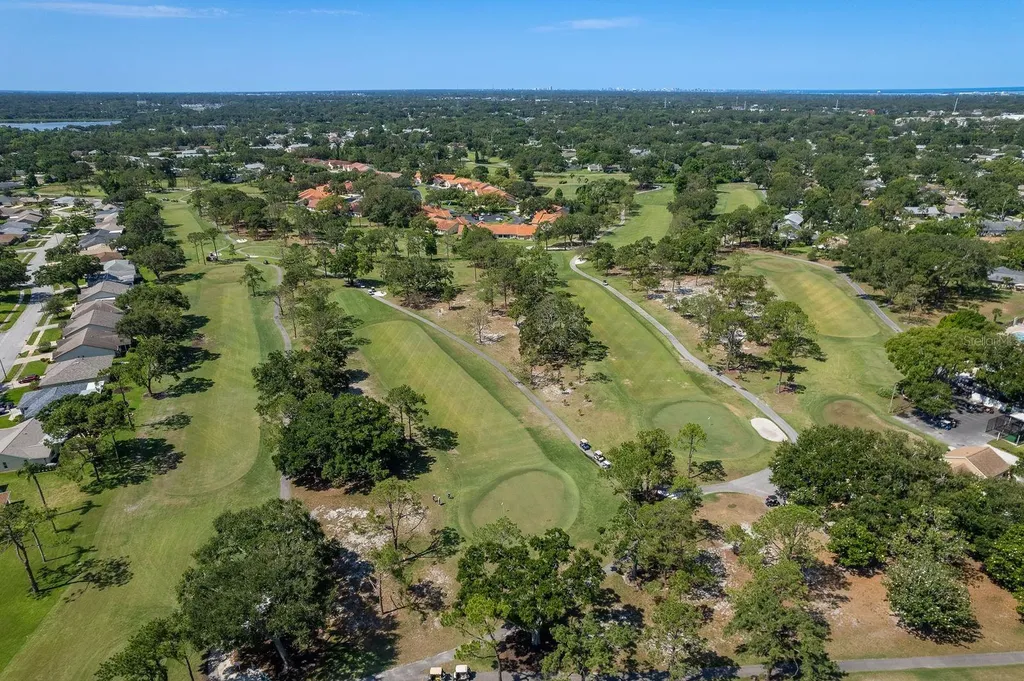 3127 Mission Grove Drive Palm Harbor FL 34684