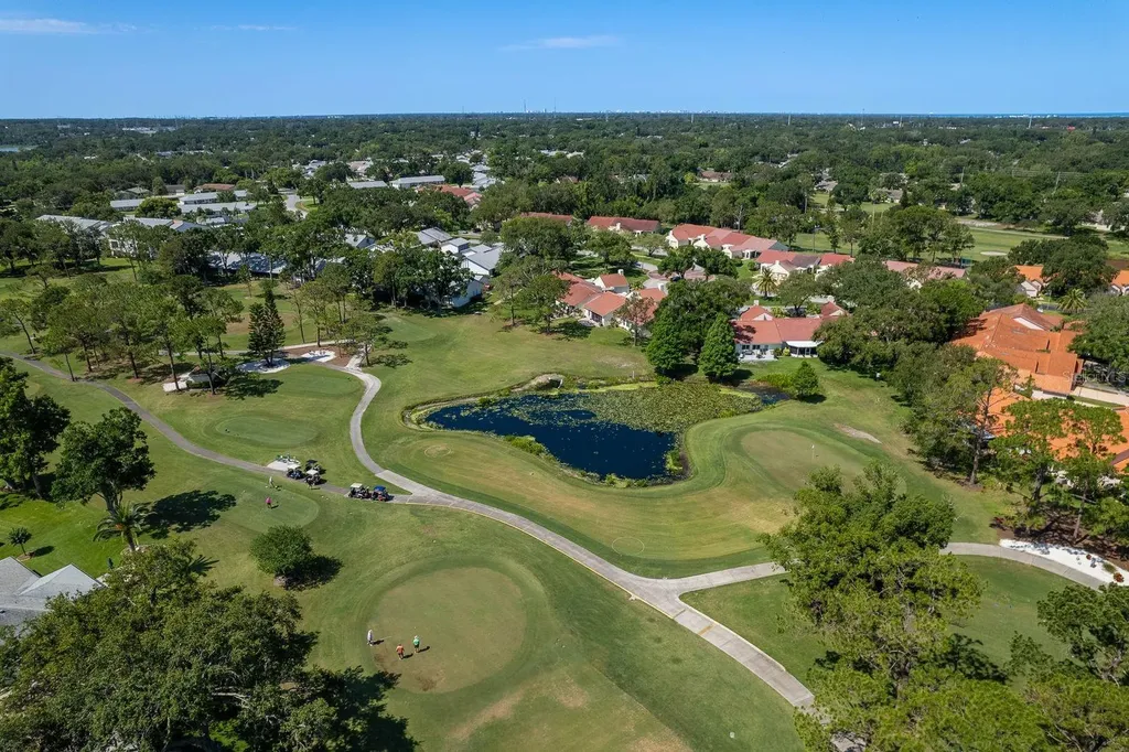 3127 Mission Grove Drive Palm Harbor FL 34684