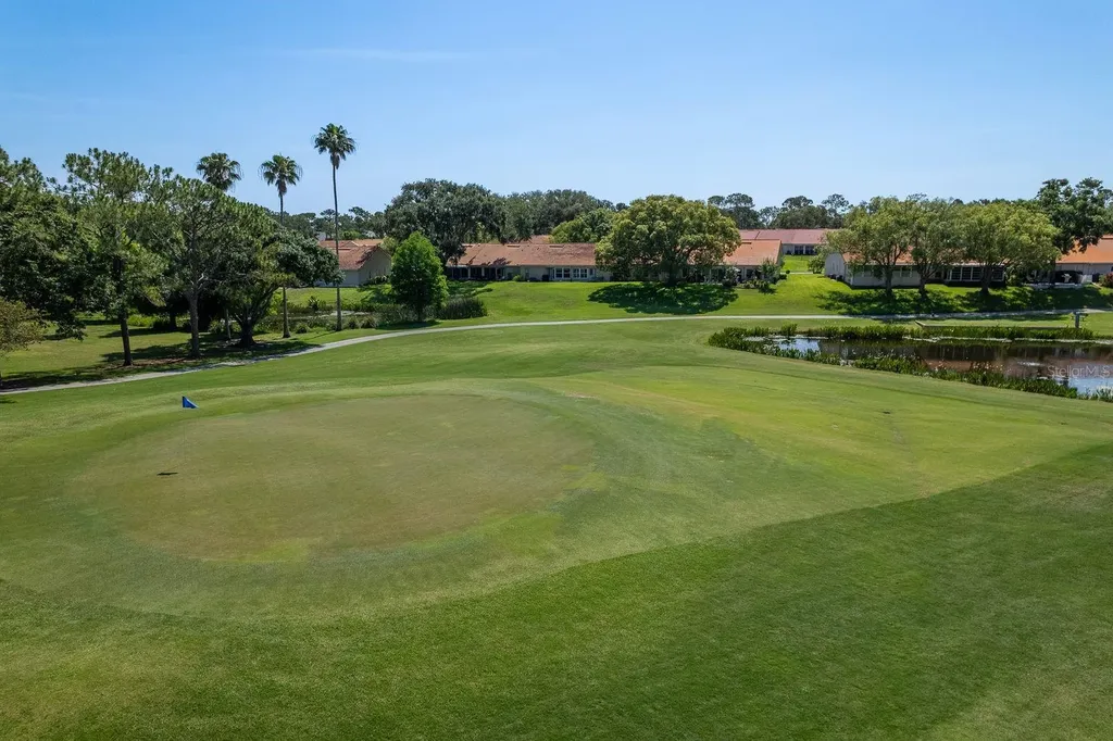 3127 Mission Grove Drive Palm Harbor FL 34684