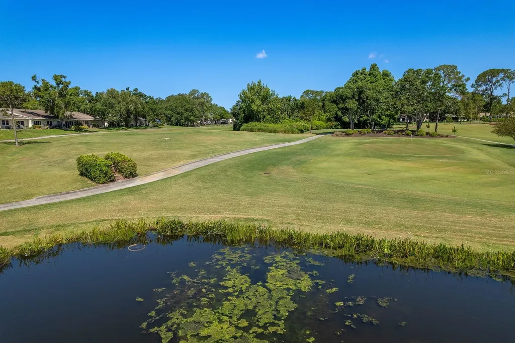 3127 Mission Grove Drive Palm Harbor FL 34684