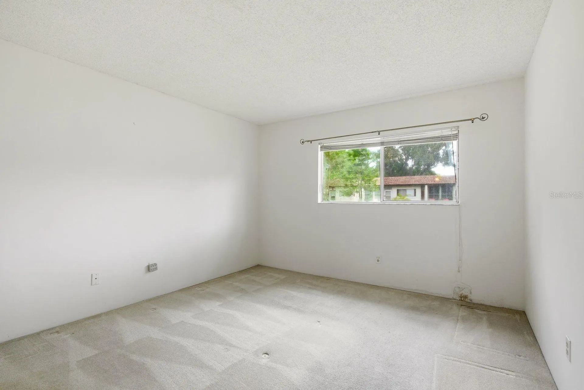 3127 Mission Grove Drive Palm Harbor FL 34684