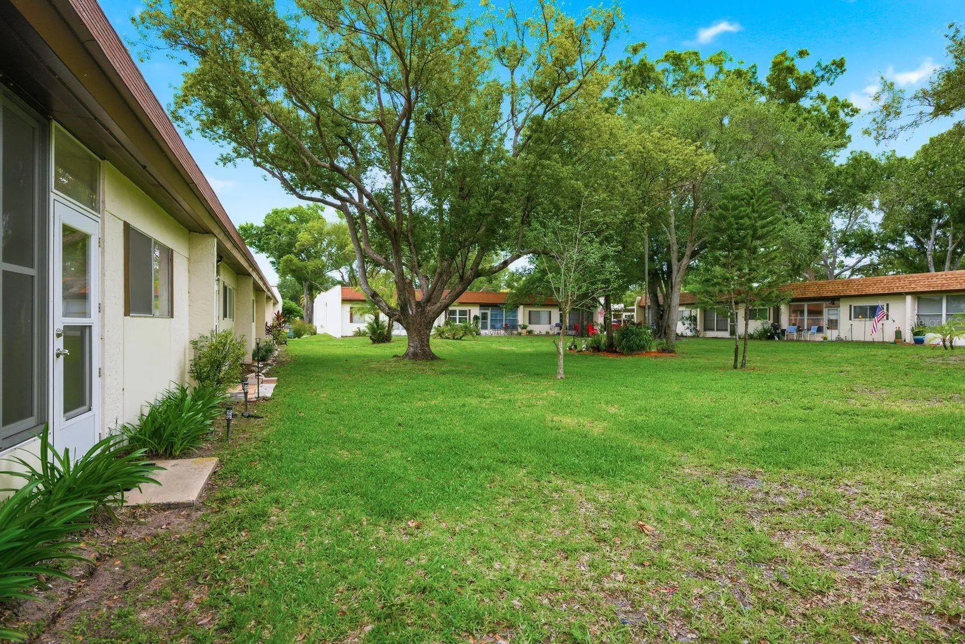 3127 Mission Grove Drive Palm Harbor FL 34684