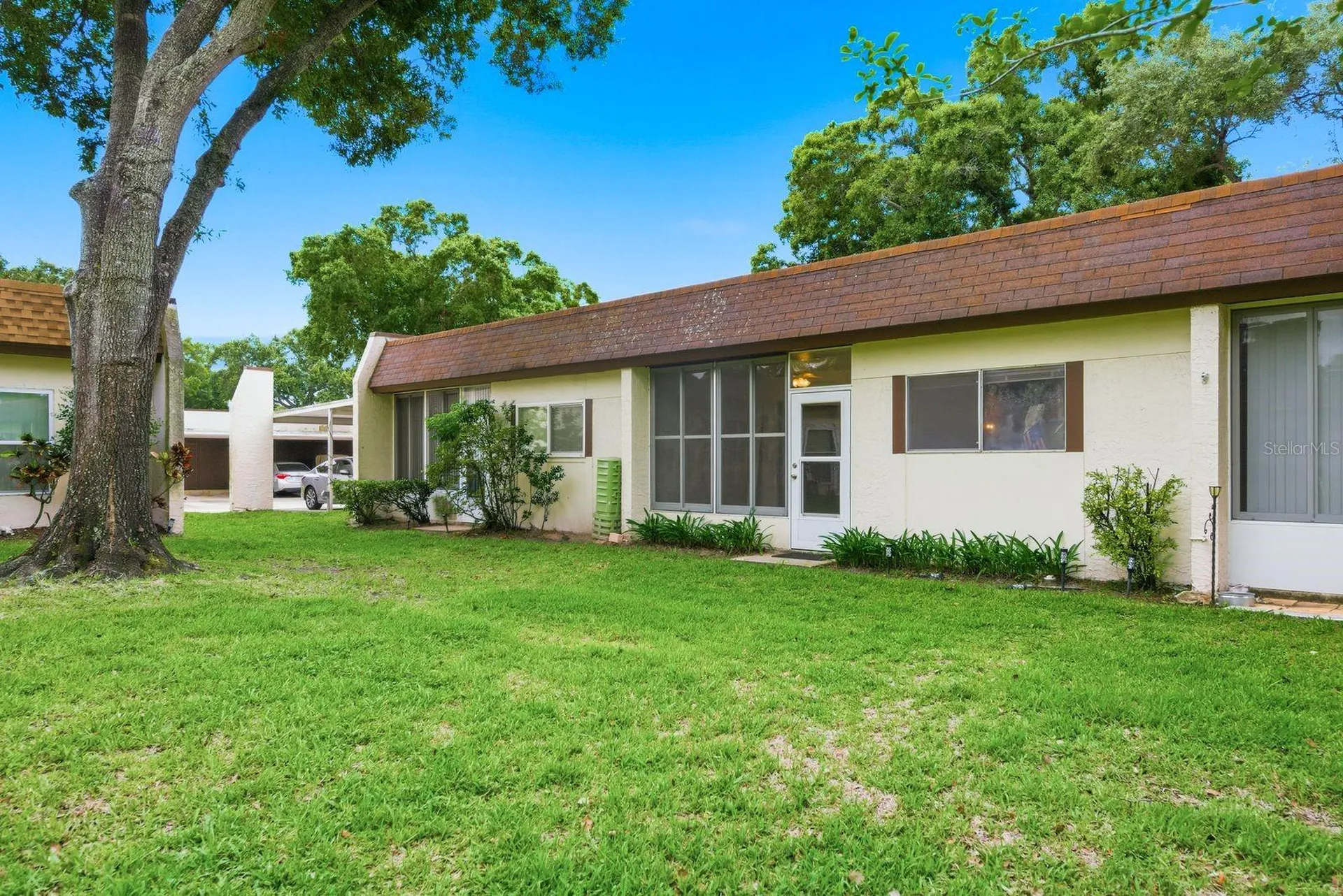 3127 Mission Grove Drive Palm Harbor FL 34684