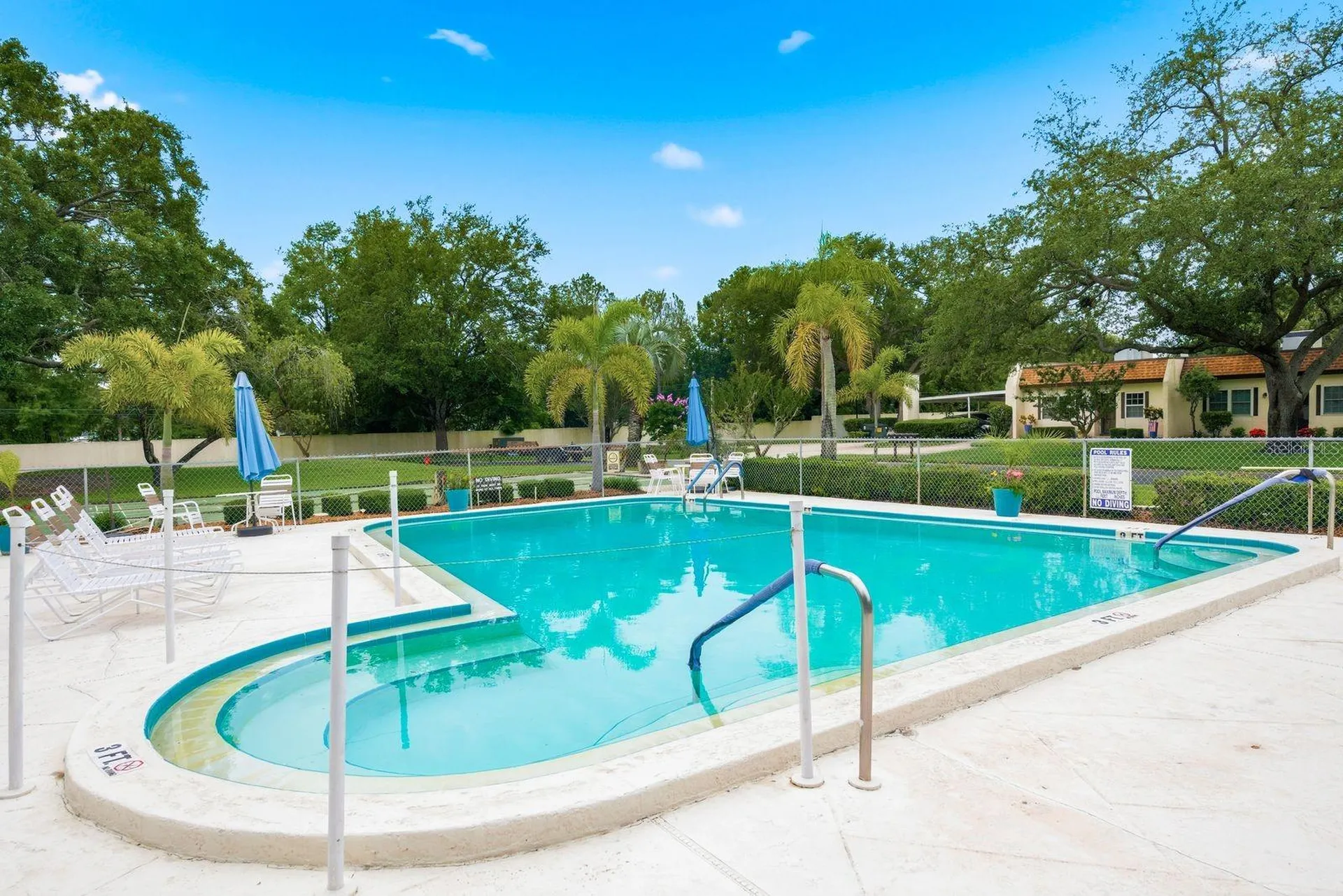 3127 Mission Grove Drive Palm Harbor FL 34684