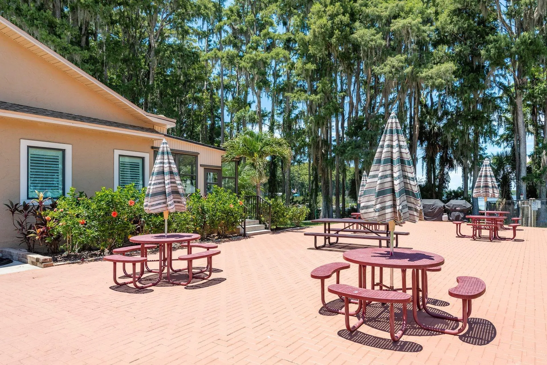 3127 Mission Grove Drive Palm Harbor FL 34684