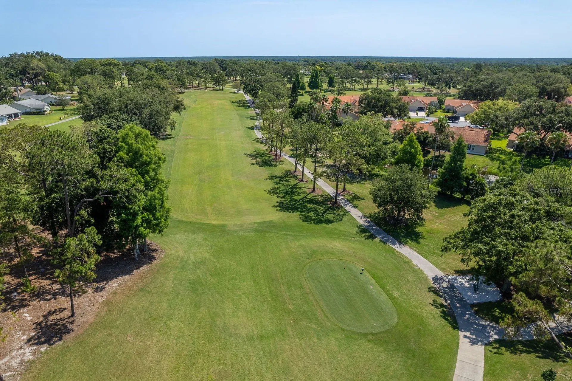 3127 Mission Grove Drive Palm Harbor FL 34684