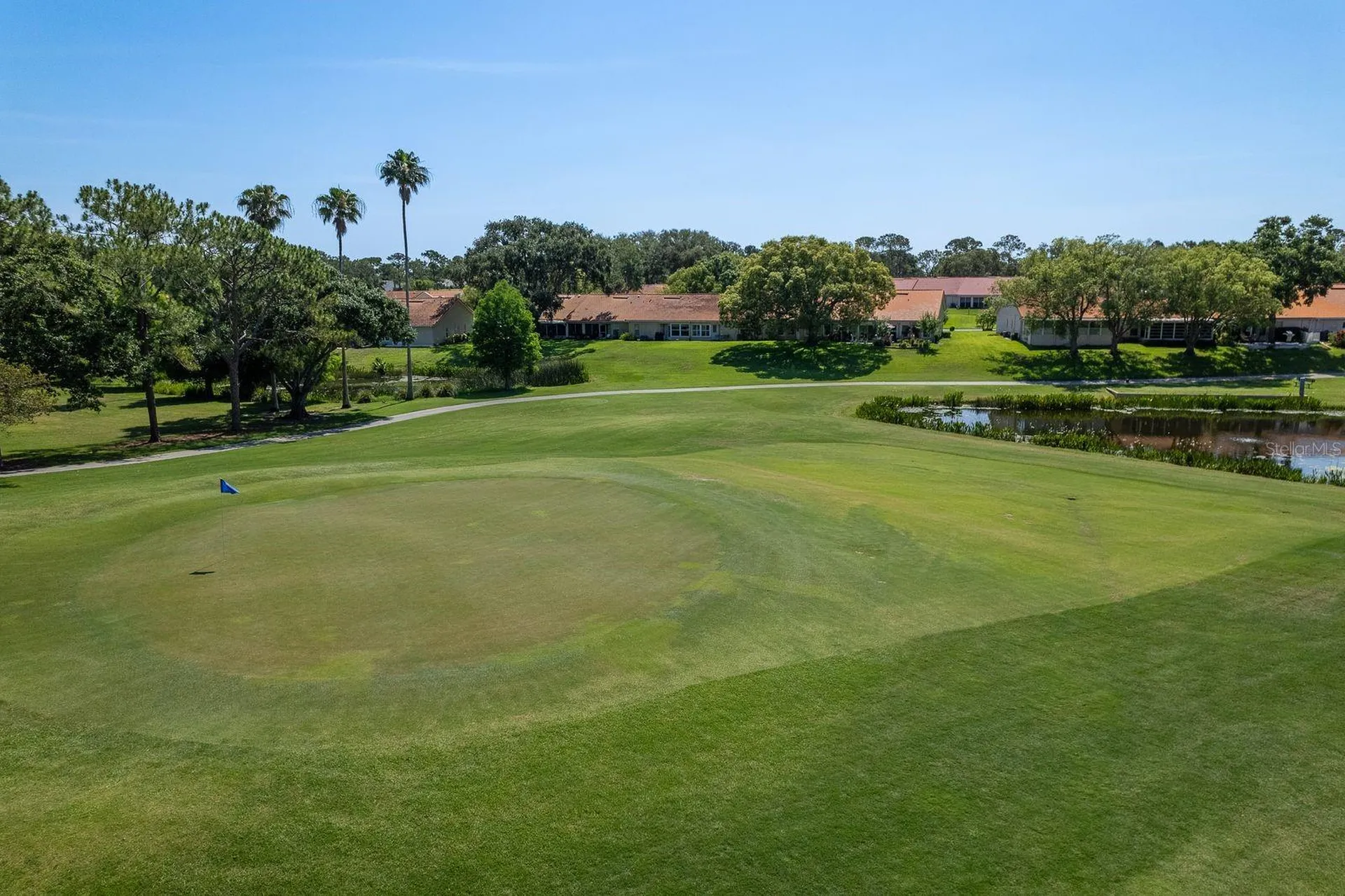 3127 Mission Grove Drive Palm Harbor FL 34684