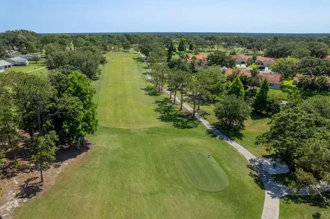 3127 Mission Grove Drive Palm Harbor FL 34684