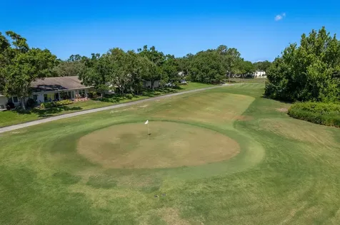 3127 Mission Grove Drive Palm Harbor FL 34684