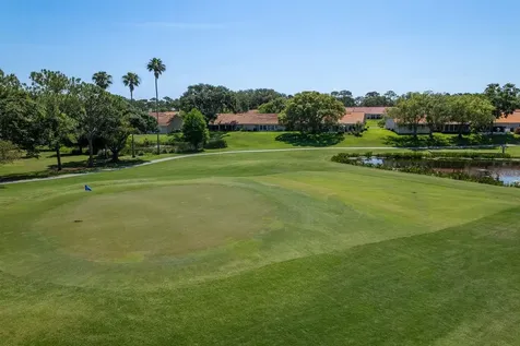 3127 Mission Grove Drive Palm Harbor FL 34684