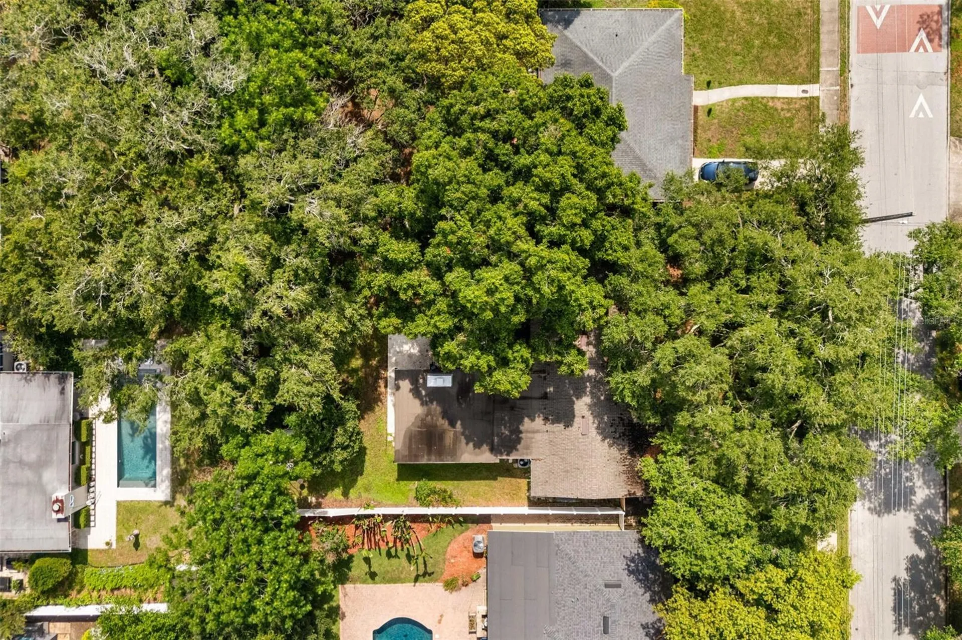 2909 Hargill Drive Orlando FL 32806