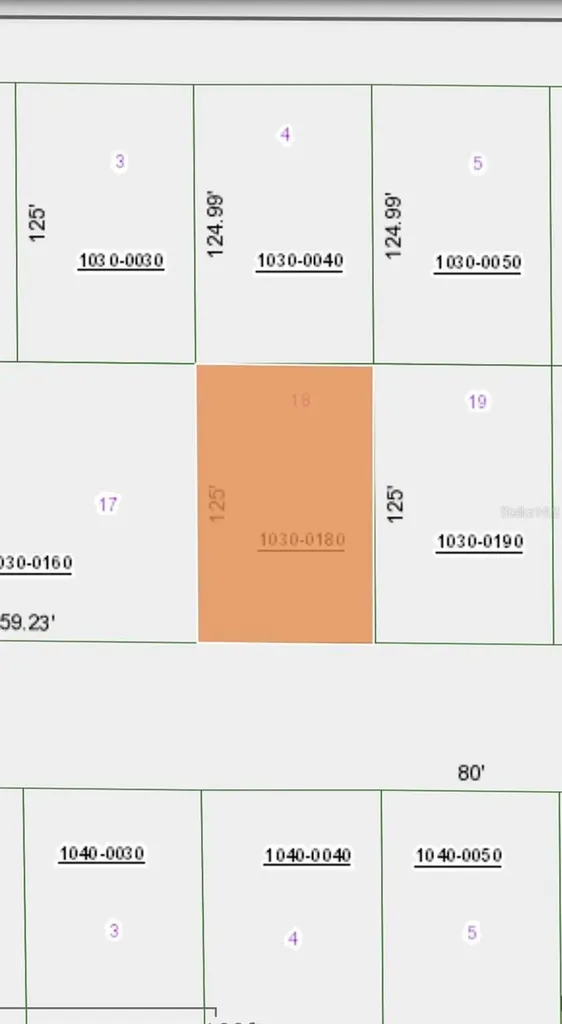 106 Chipola Drive Georgetown FL 32139