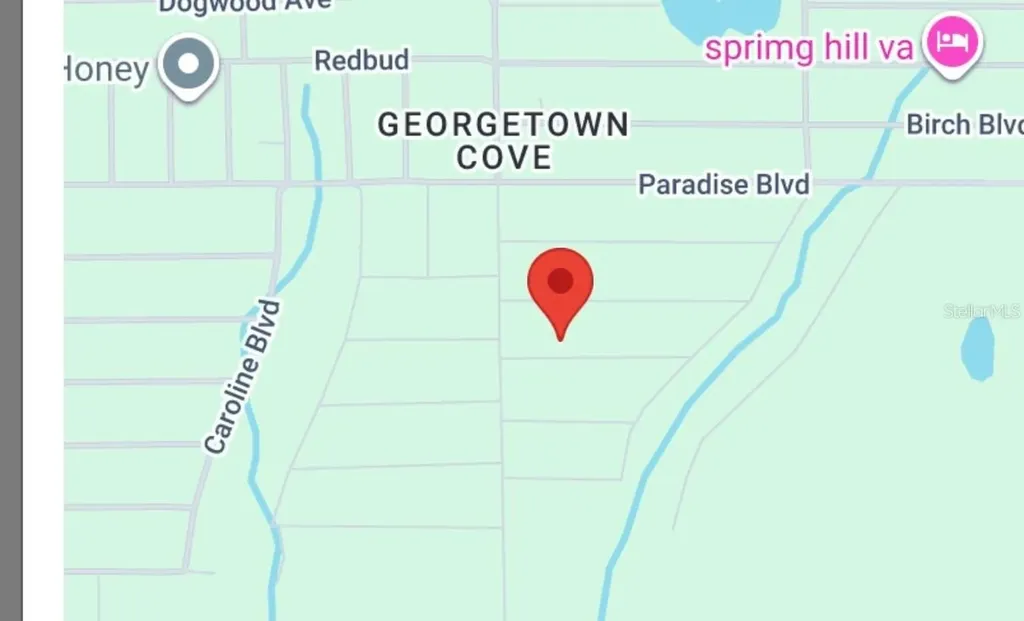 106 Chipola Drive Georgetown FL 32139