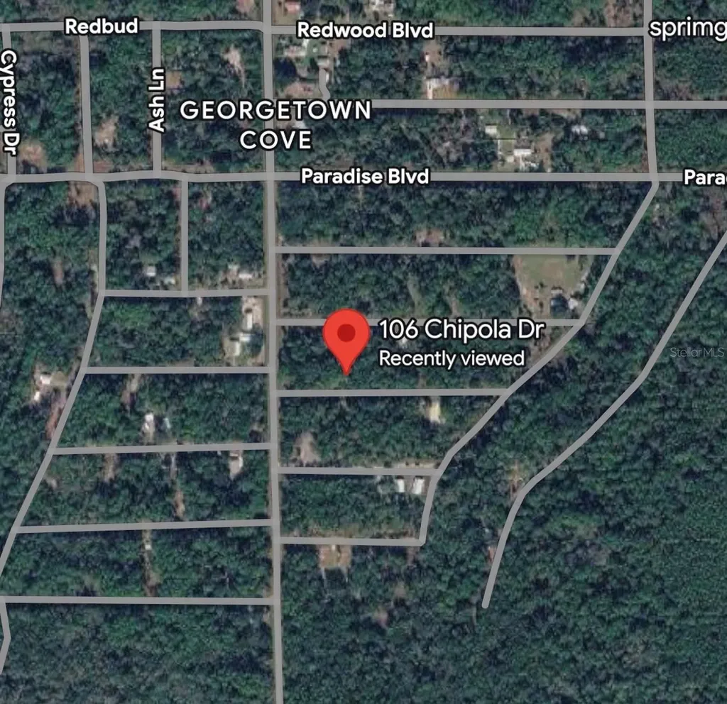 106 Chipola Drive Georgetown FL 32139