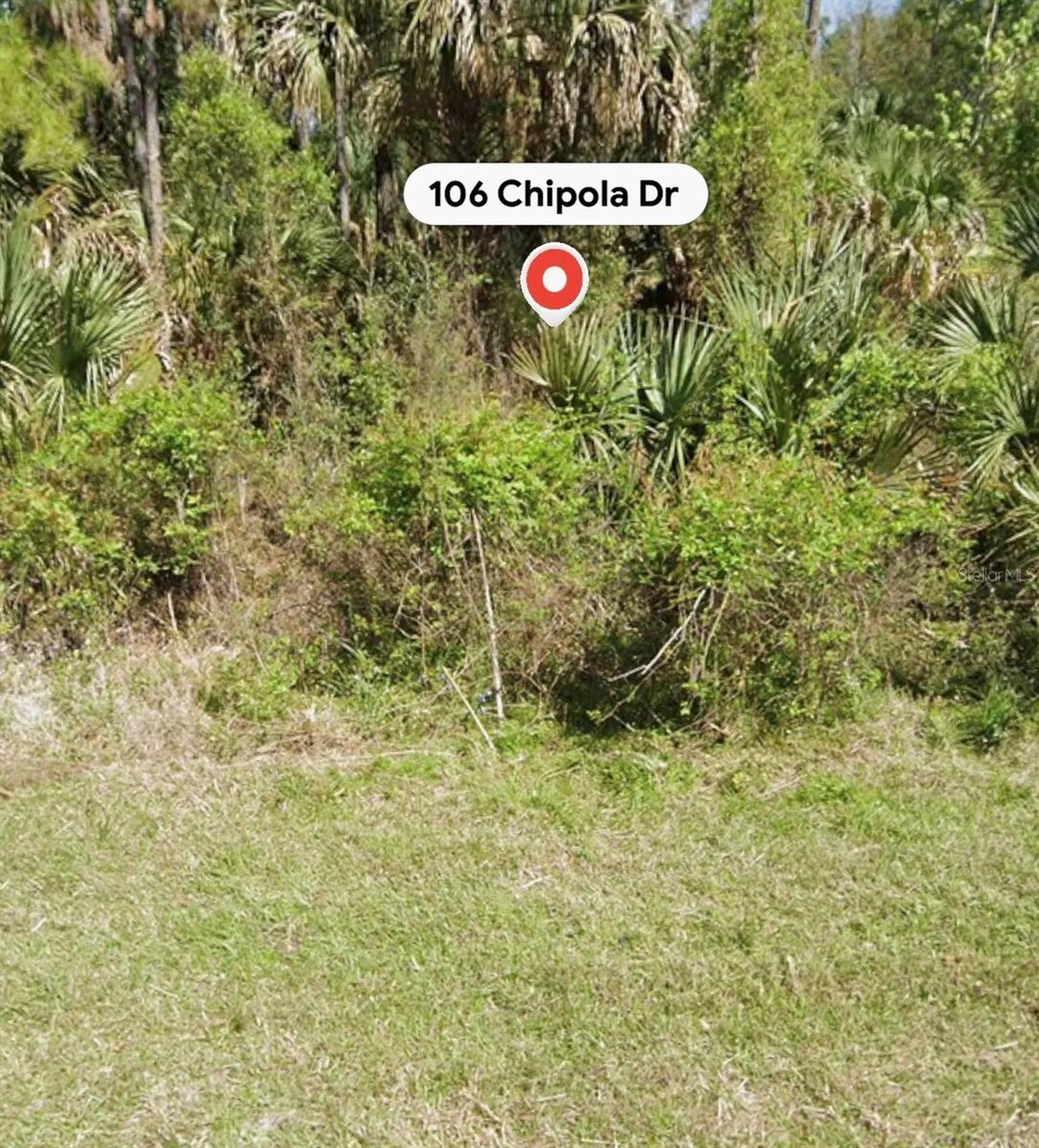 106 Chipola Drive Georgetown FL 32139
