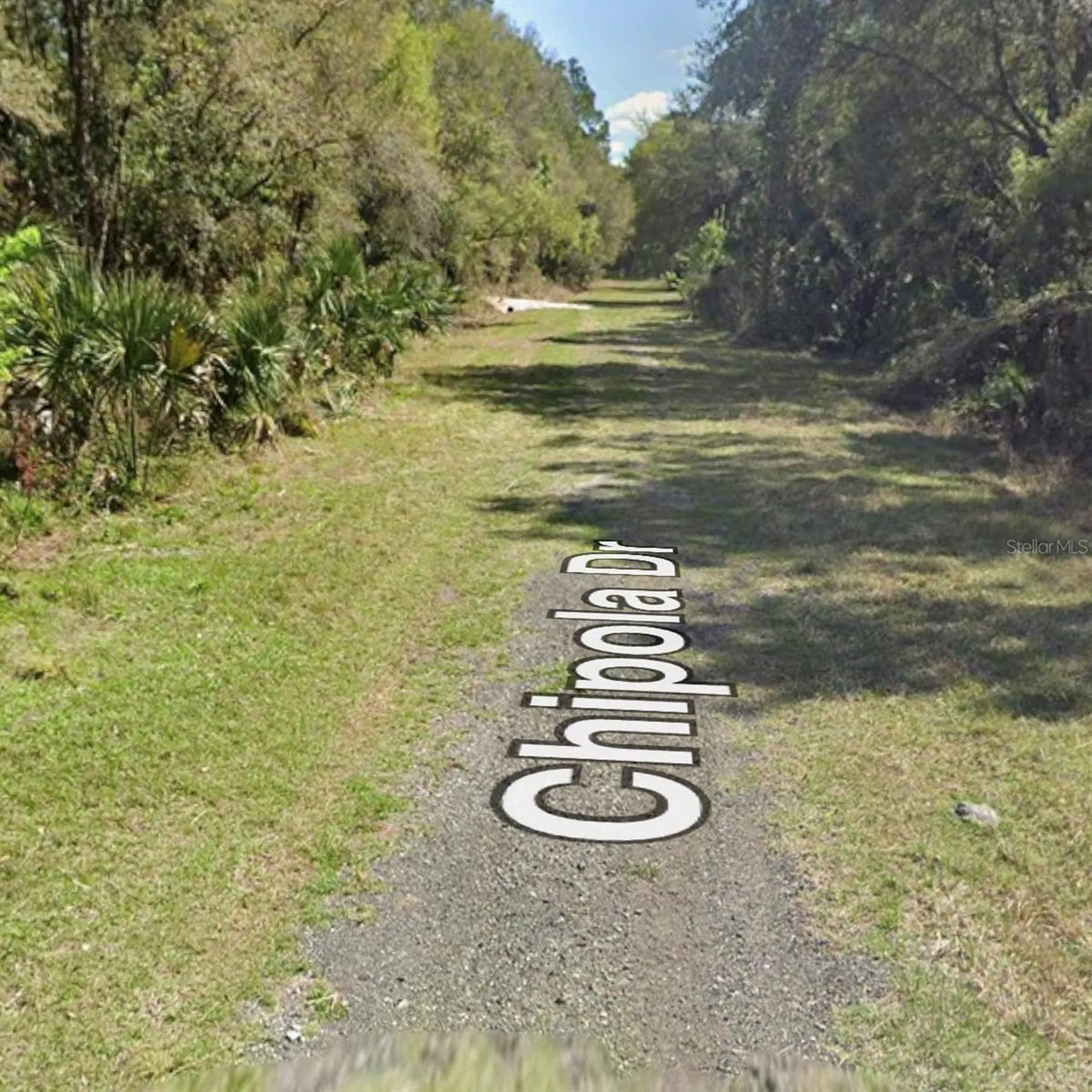 106 Chipola Drive Georgetown FL 32139