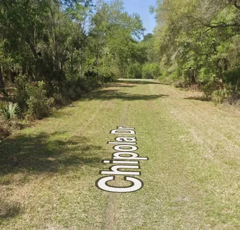 106 Chipola Drive Georgetown FL 32139