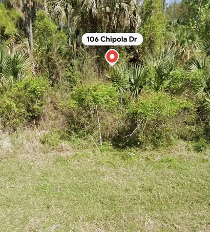 106 Chipola Drive Georgetown FL 32139