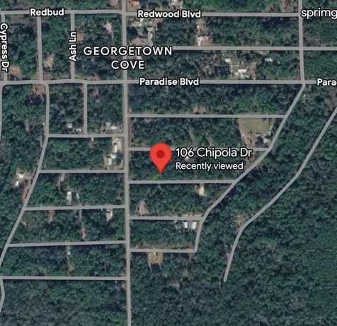 106 Chipola Drive Georgetown FL 32139
