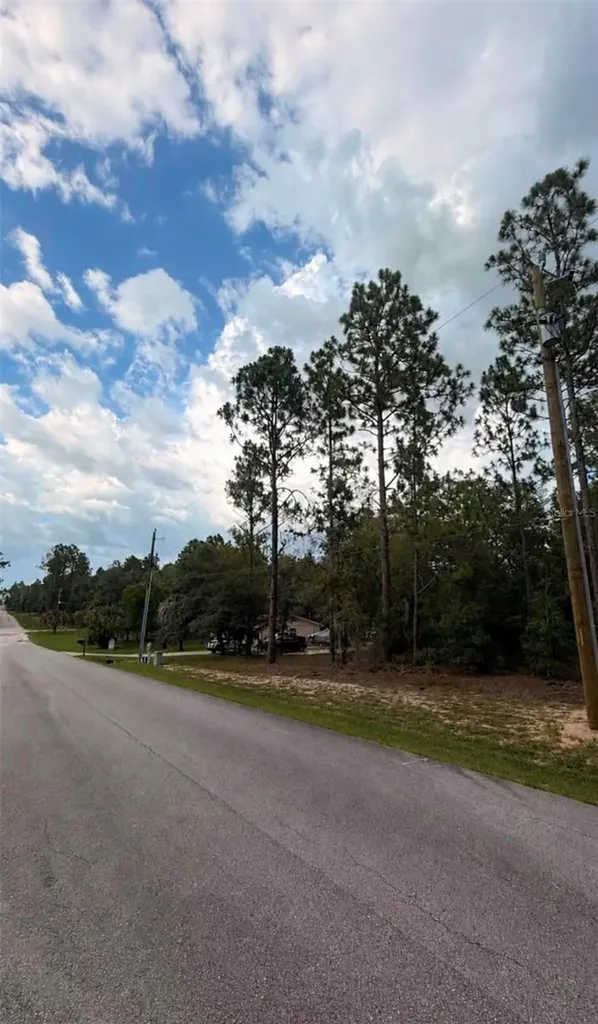 SW 207th Court Dunnellon FL 34431