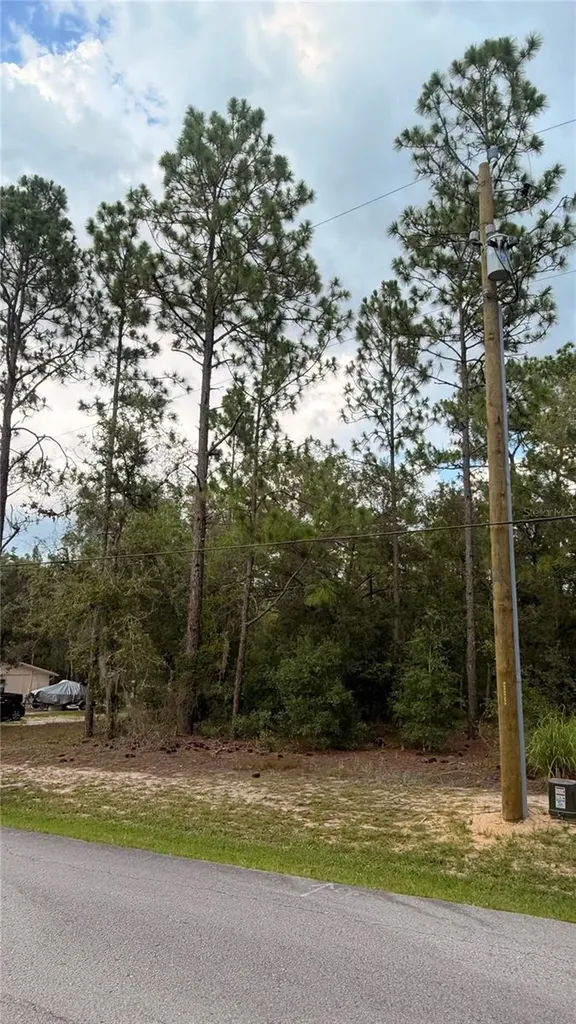SW 207th Court Dunnellon FL 34431