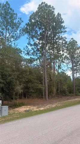 SW 207th Court Dunnellon FL 34431