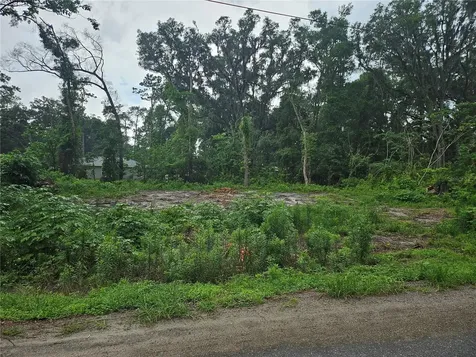 Tbd NW 65th Place Ocala FL 34482