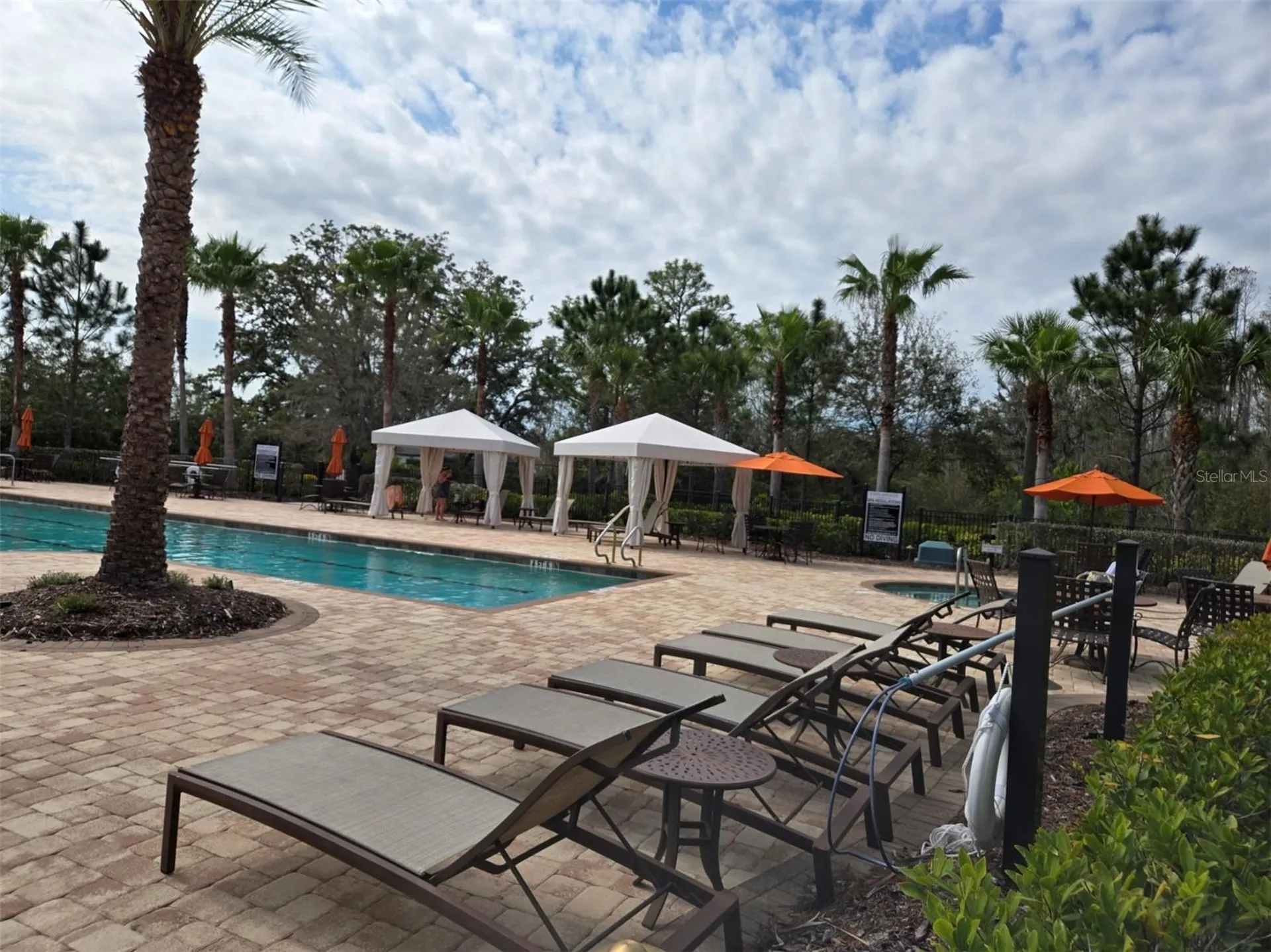 3270 Francoa Drive Odessa FL 33556