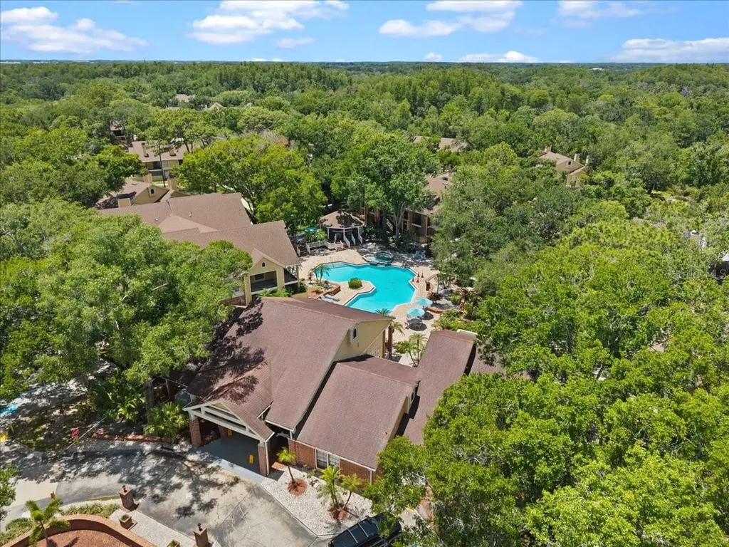 8641 Fancy Finch Drive Tampa FL 33614