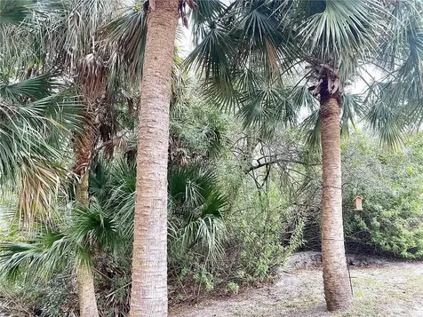 Arley Road North Port FL 34288