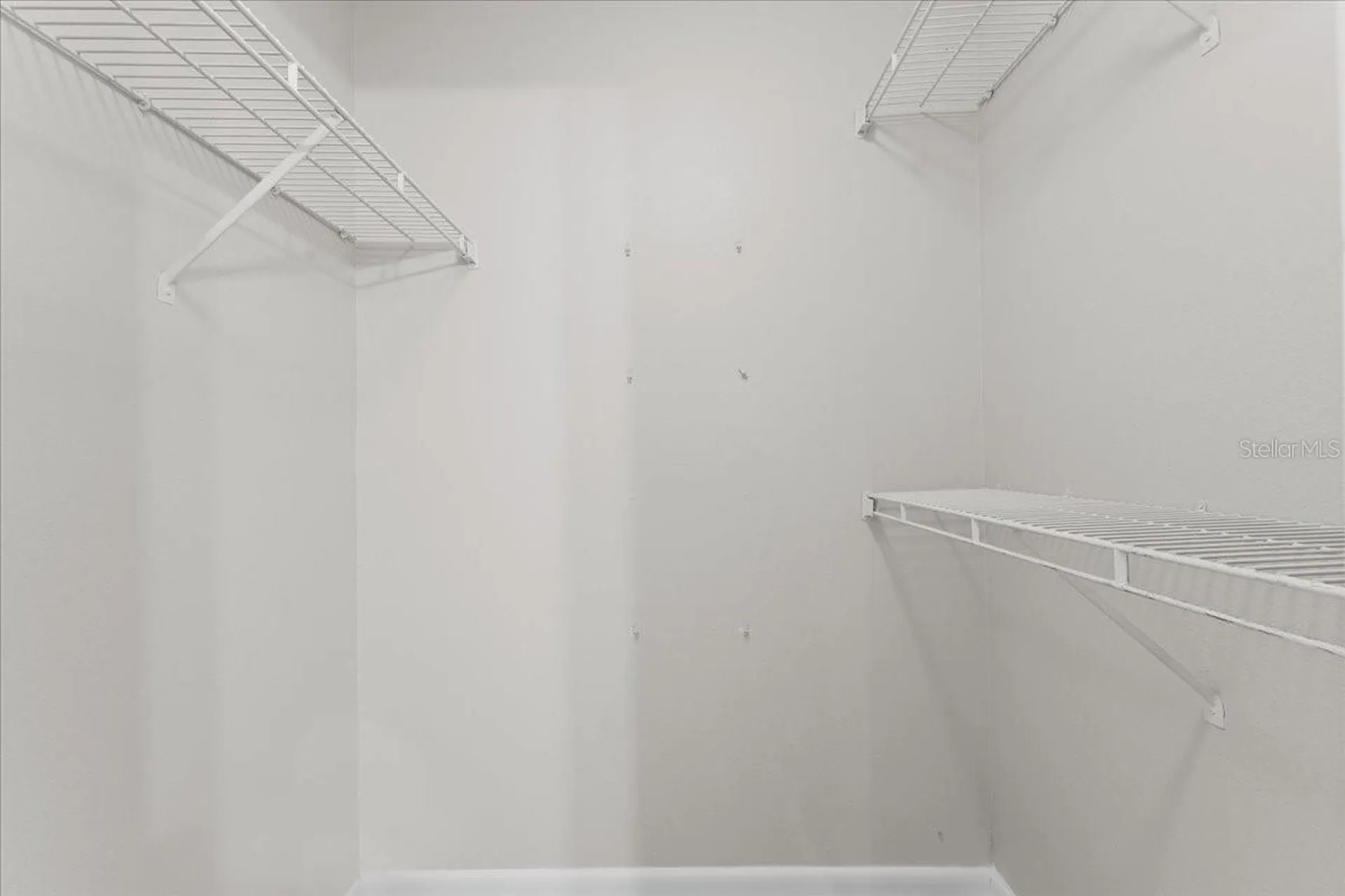 8641 Fancy Finch Drive Tampa FL 33614