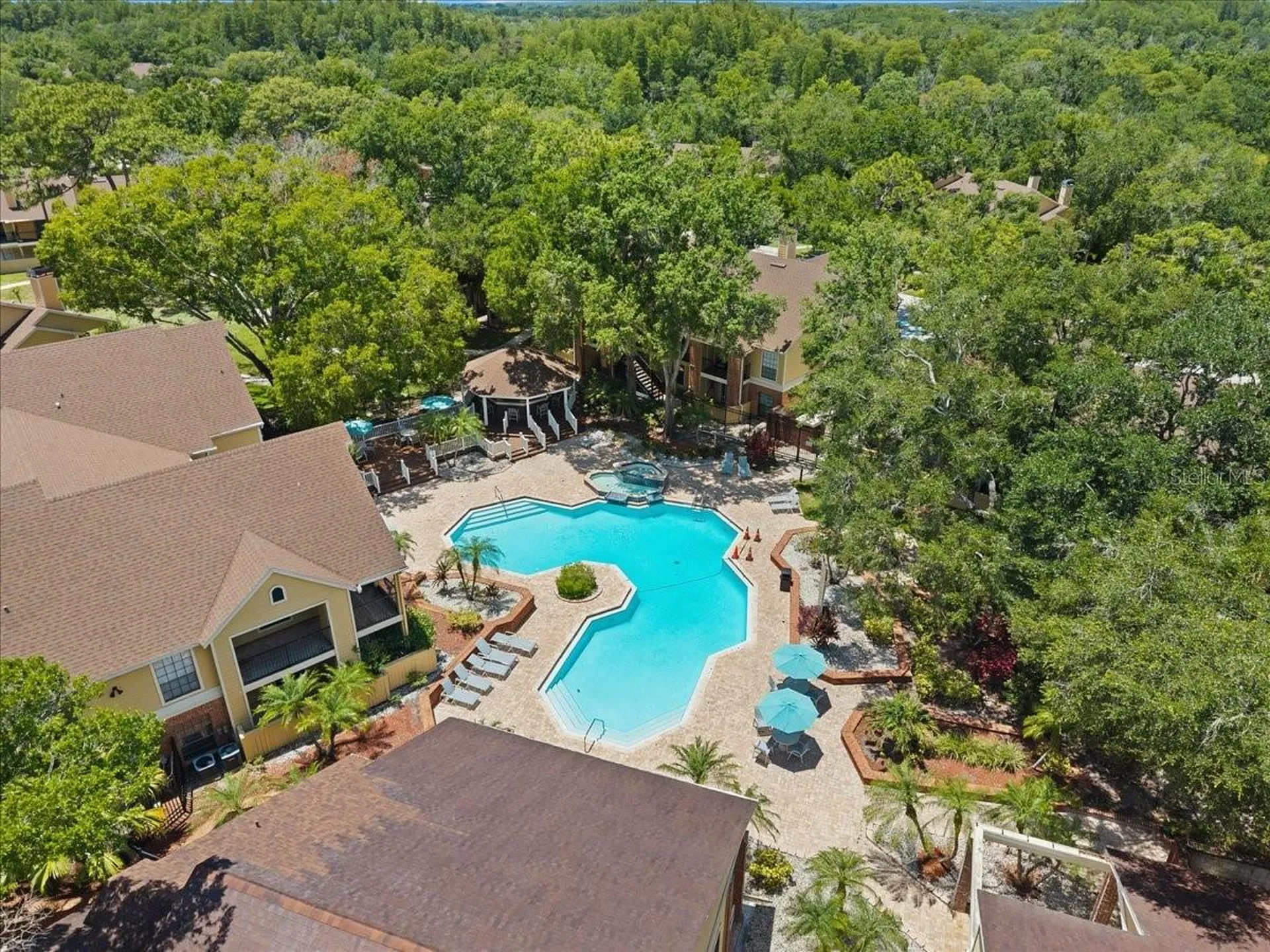 8641 Fancy Finch Drive Tampa FL 33614