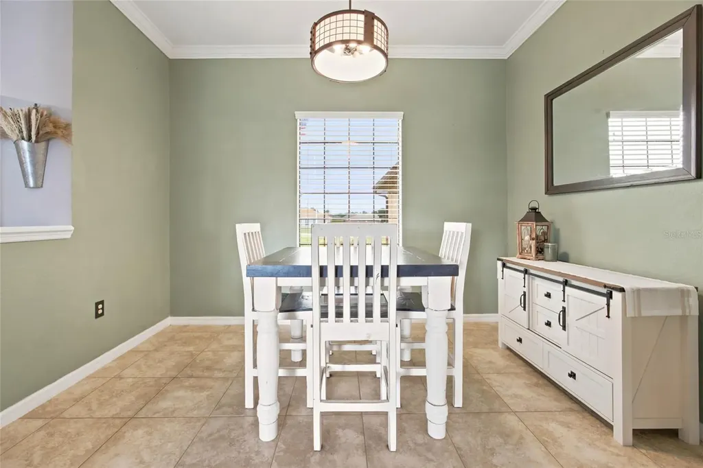 6145 SE 96th Street Belleview FL 34420