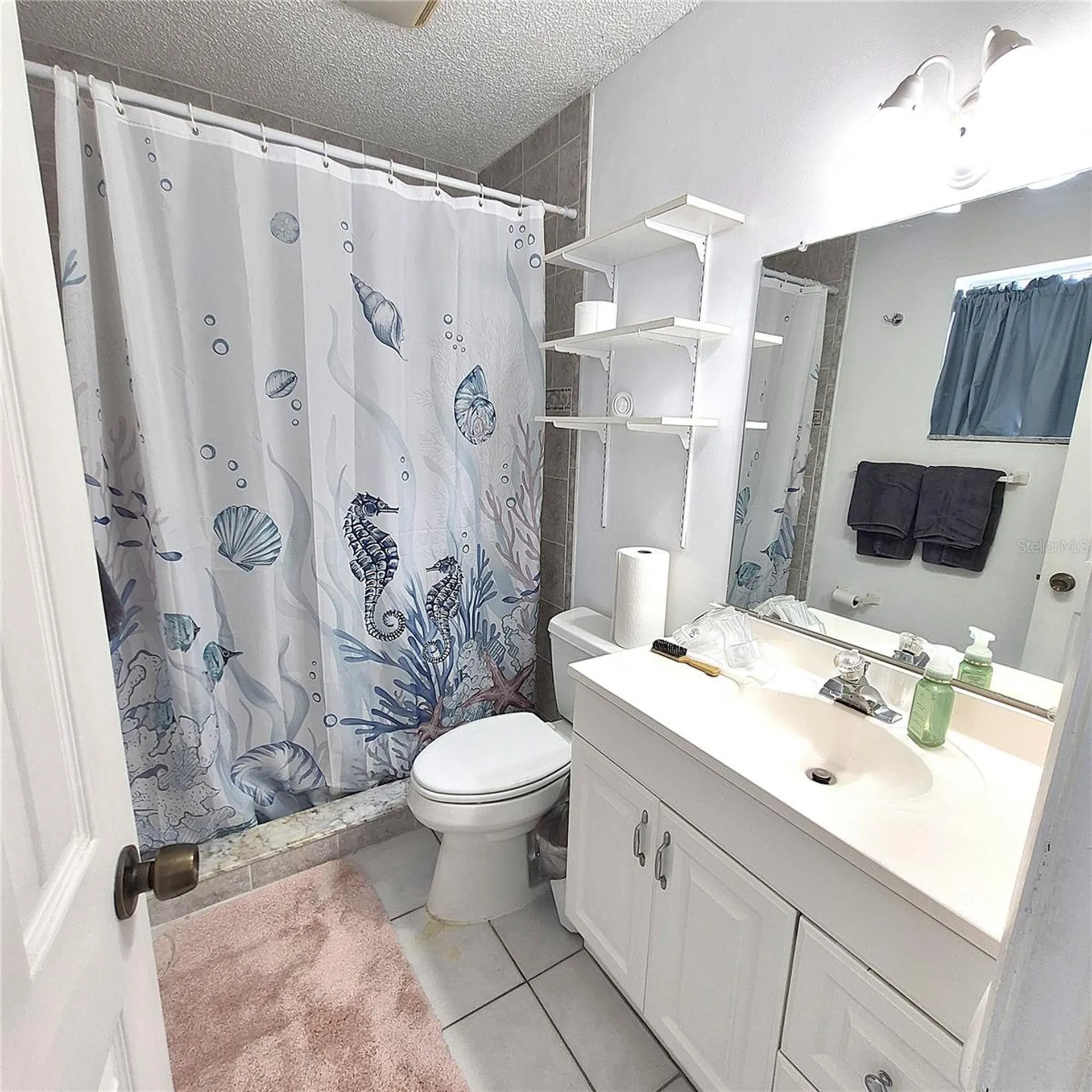 6204 Coralberry Terrace Port Charlotte FL 33981