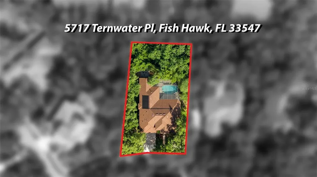 5717 Ternwater Place Lithia FL 33547